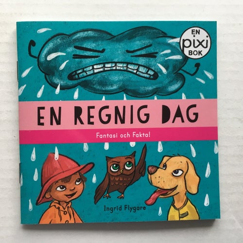 Pixi bok - En regnig dag