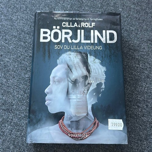 Sov du lilla videung av Cilla & Rolf Börjlind, 2020