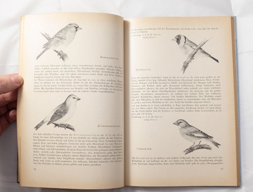 Vogel Pflege - tysk fågelbok - fåglar - fågel - ornitologi - bok