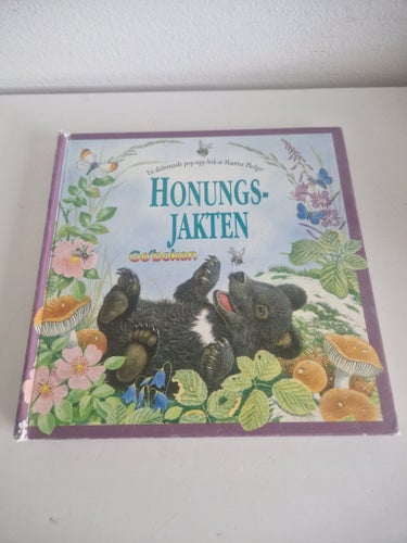 Barnbok Honungsjakten av Maurice Pledger