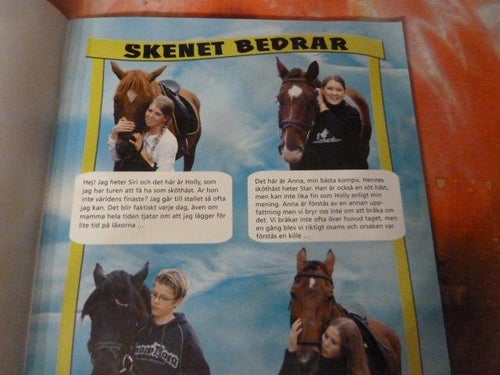 SKENET BEDRAR, POLLUX, TIDNING, 2004