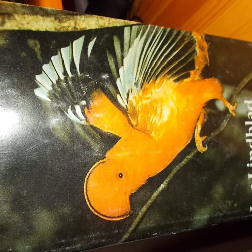 EN BOK JAN LINDBLAD MITT GRÖNA PARADIS