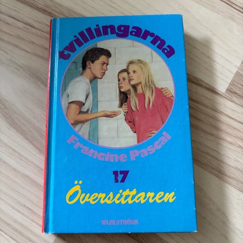 Tvillingarna 17: Översittaren av Francine Pascal