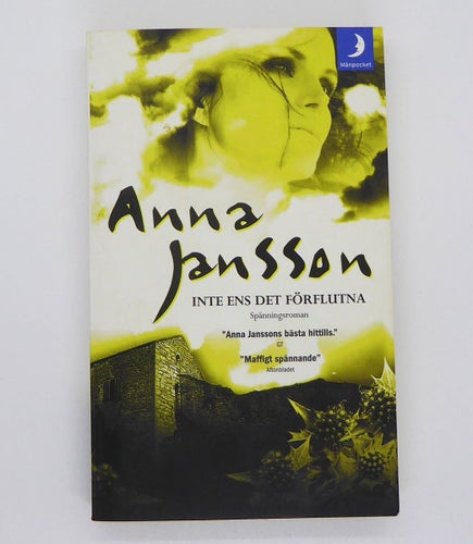 Inte ens det förflutna - Anna Jansson