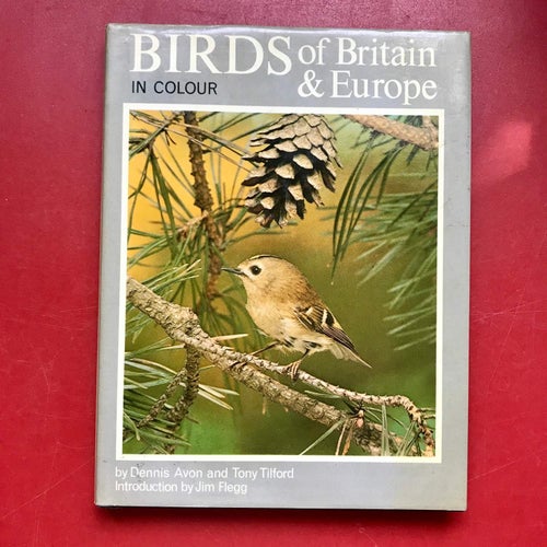 BIRDS OF BRITAIN & EUROPE Bruce Avon Tony Tilford 1975