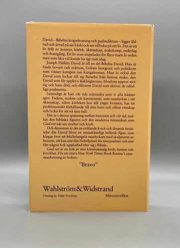 Gud vet av Joseph Heller (Roman)