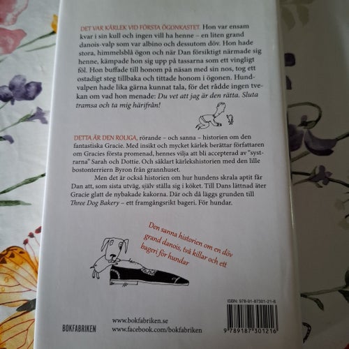 Den Fantastiska Gracie - Dan Dye & Mark Beckloff