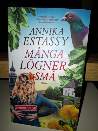 (Pocket) Många lögner små av Annika Estassy, 2022