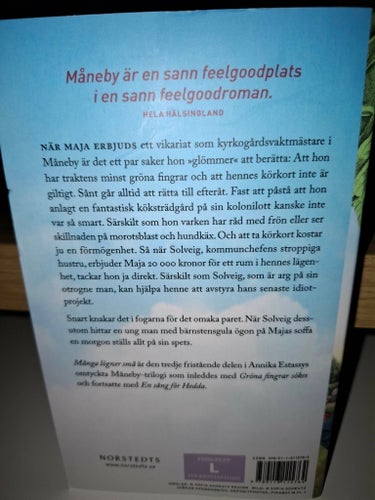 (Pocket) Många lögner små av Annika Estassy, 2022