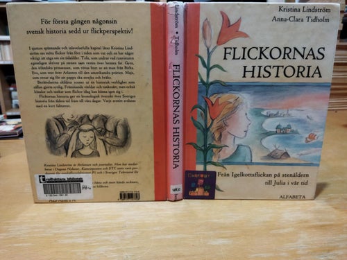 Flickornas historia Från Igelkottsflickan på Stenålderns till Julia i vår tid