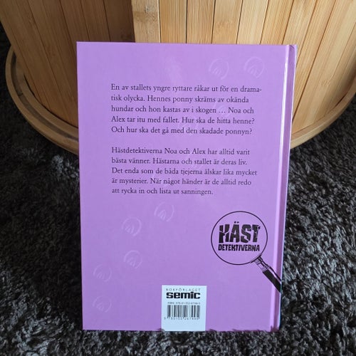 Hästdetektiverna Mysteriet med den skrämda ponnyn av Catharina Hansson Lena