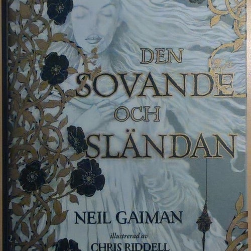 Den sovande och sländan - Neil Gaiman