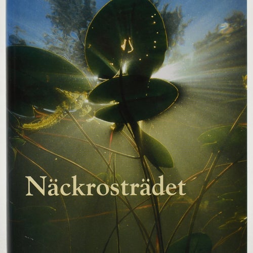 Näckrosträdet : roman / Elsie Johansson.