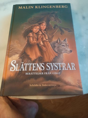 Slättens systrar av Malin Klingenbergs, 2024