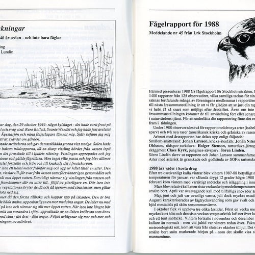 FÅGLAR I STOCKHOLMSTRAKTEN N3 1989 ÅRG 18