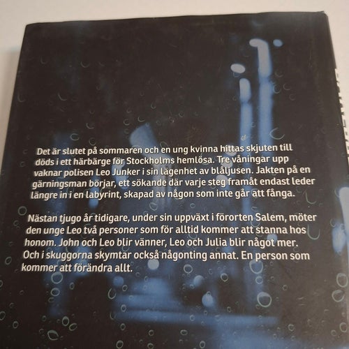 Den osynlige mannen från Salem (prisbelönt deckare) av Christoffer Carlsson