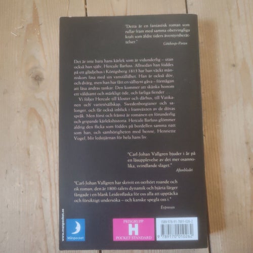 Den vidunderliga kärlekens historia av Carl-Johan Vallgren, 2002