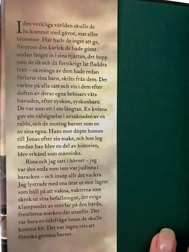 FÜHRERNS BARNMORSKA Mandy Robotham 2020