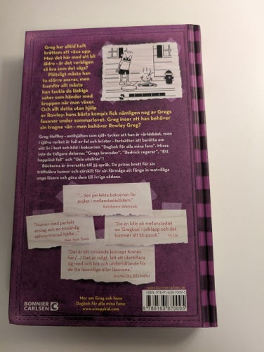 Den bistra sanningen Bok av Jeff Kinney