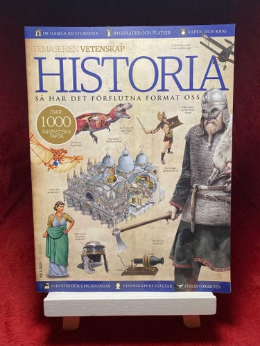 Historia - Så har det förflutna format oss