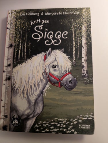 Äntligen Sigge Bok av Lin Hallberg
