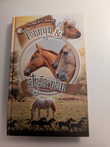 Ponnyn & Stjärnan av Angela Dorsey