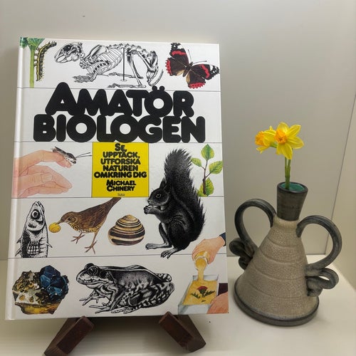 Amatörbiologen av Michael Chinery – klassisk naturbok i fint format