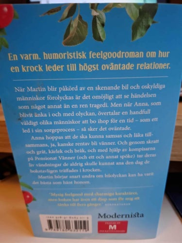 Pocket Huset i gränden av Helen Billinger