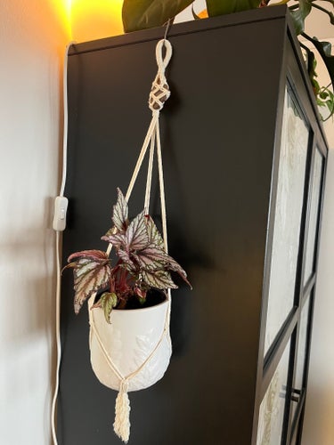 Ampel Macramé. Växthängare.