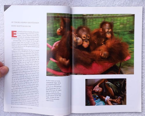 National geographic, 11/2009 – Borneos orangutanger, djurmumier, Madagaskar