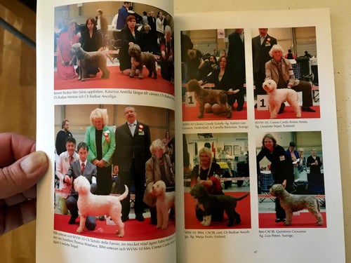 SVENSKA LAGOTTO ROMAGNOLOKLUBBEN 2010 och 2013