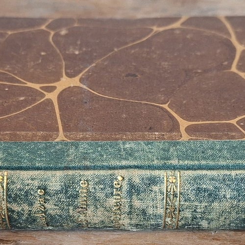 J.F. Victorins Resa i Kaplandet Åren 1853-1855