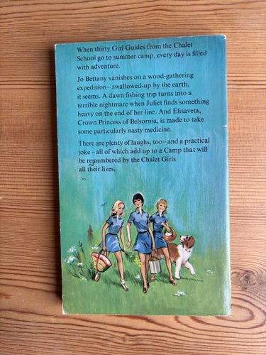 The Chalet Girls in Camp av Elinor M. Brent-Dyer - flickbok