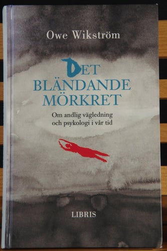 Det bländande mörkret av Owe Wikström, 1994