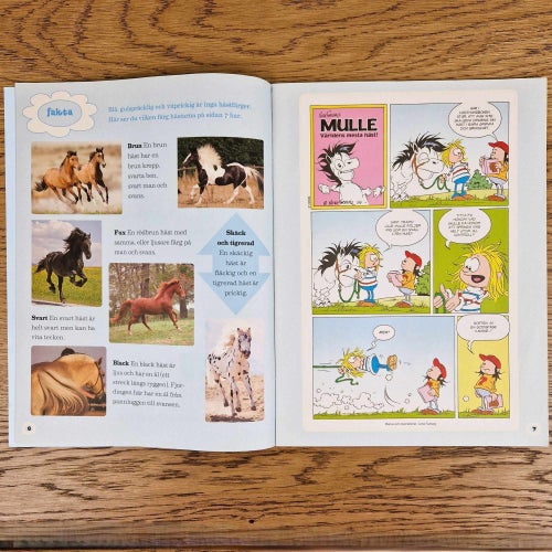 Mulle & Jag Nr 2 Pyssel Serier Saga Ridskola Barn Tidning 2019