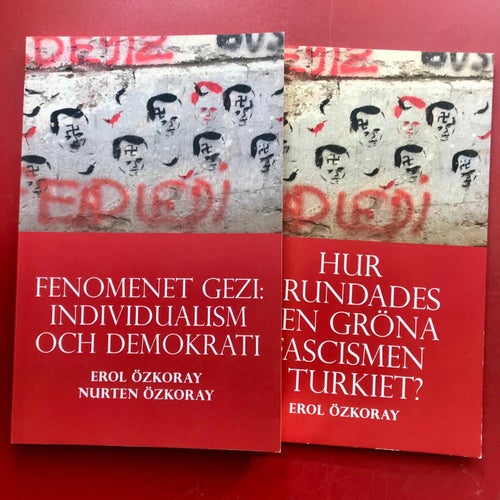 FENOMENET GEZI individualism och demokrati Erol Özkoray Nurten Özkoray 2017