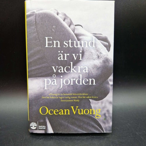En stund är vi vackra på jorden av Ocean Vuong, 2020