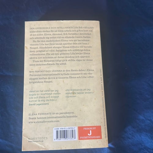 Min fantastiska väninna av Elena Ferrante