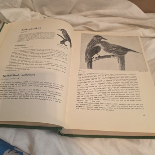 Fågelboken av Hjalmar Rendahl, 1957