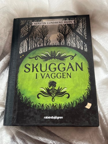 Skuggan i väggen av Kerstin Lundberg Hahn