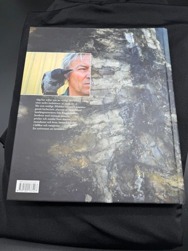 Lars Lerin: Naturlära, 2014