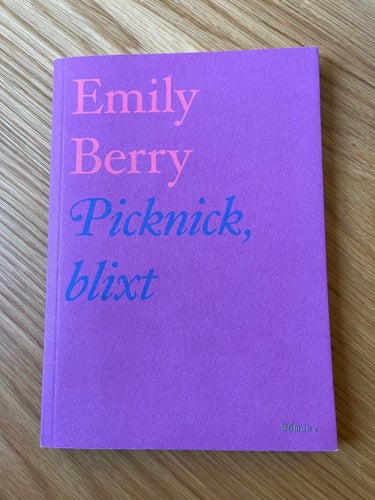 Picknick, blixt - Emily Berry