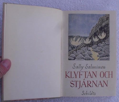 Sally Salminen: Klyftan och stjärnan
