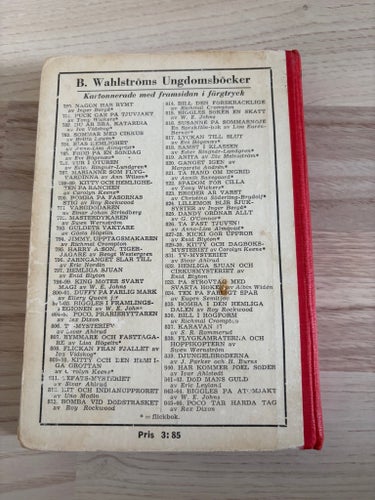Kitty och dagboksmysteriet av Carolyn Keene