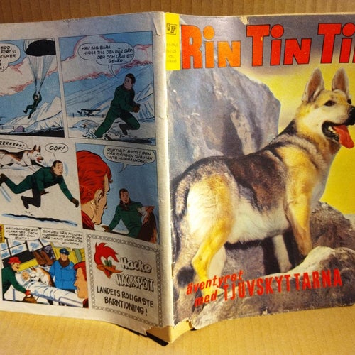 Rin Tin Tin 1963 nr 6
