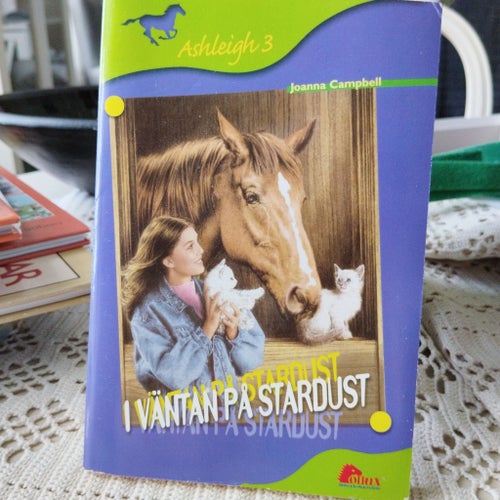 I väntan på Stardust av Joanna Campbell, Ashleigh 3
