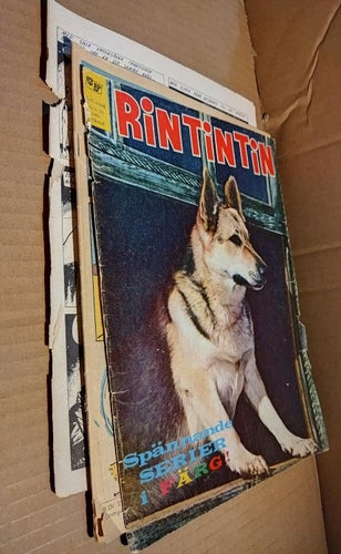 Rin Tin Tin 1964 nr 1