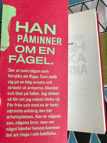 DE AFGHANSKA SÖNERNA Elin Persson 2020
