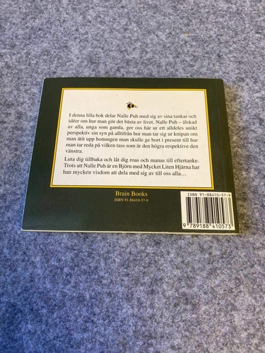 Nalle Puhs lilla instuktionsbok