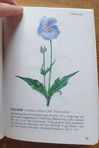 Blomster Fägring bok
